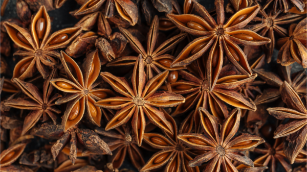 Macro closeup, vista superior em anis-estrelado de especiarias perfumadas, formato horizontal.