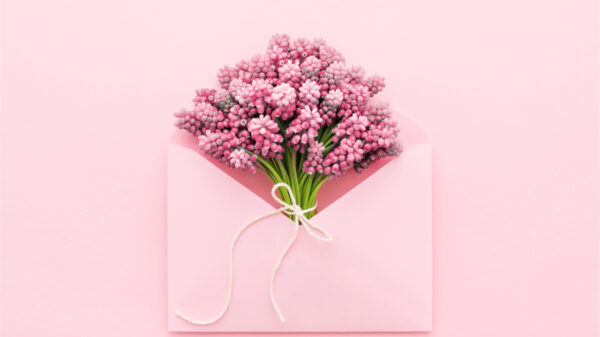 Flores da primavera em um envelope rosa.