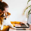 mulher em casa segurando um cachorro e trabalhando no notebook