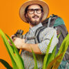 Conceito de turismo, viagens e aventura. Jovem com uma mochila nas costas e um chapéu de turista, espreitando por trás de plantas tropicais, segurando um binóculos. Retrato de estúdio em um fundo laranja.