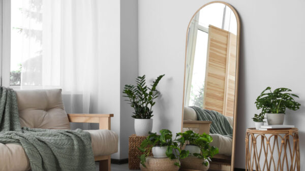 a imagem mostra o comodo de uma casa. à direita há um espelho grande e vasos com flor. à esquerda tem um sofá de cor clara e uma coberta verde.