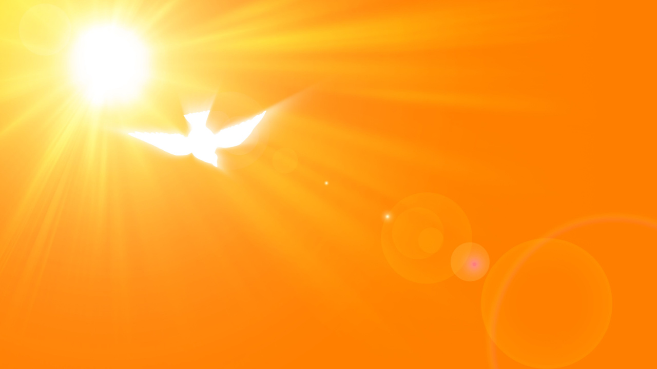 céu laranja. no canto superior direito está o sol e próximo dele uma ave branca iluminada