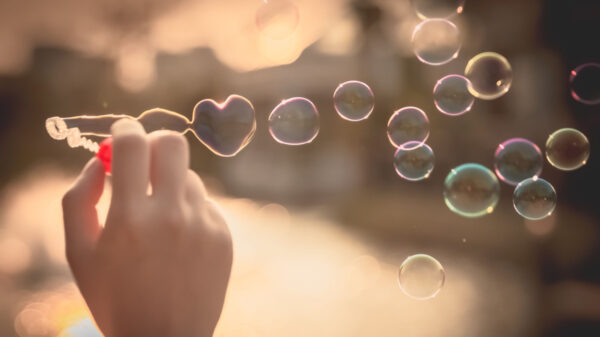 bolhas, uma em formato de coração, de são em um fundo que é um lago desfocado