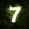 letreiro do número sete iluminado e o fundo são folhas de plantas verdes em sombra