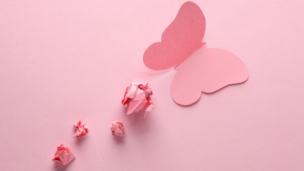 Papel recortado em formato de borboleta em um fundo rosa.