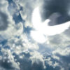imagem de uma pomba branca iluminada formada num céu azul de nuvens brancas