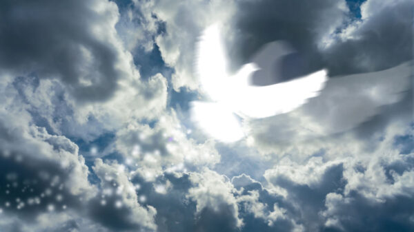 imagem de uma pomba branca iluminada formada num céu azul de nuvens brancas