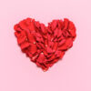 pétalas de rosas vermelhas formam o desenho de um coração no centro em fundo rosa
