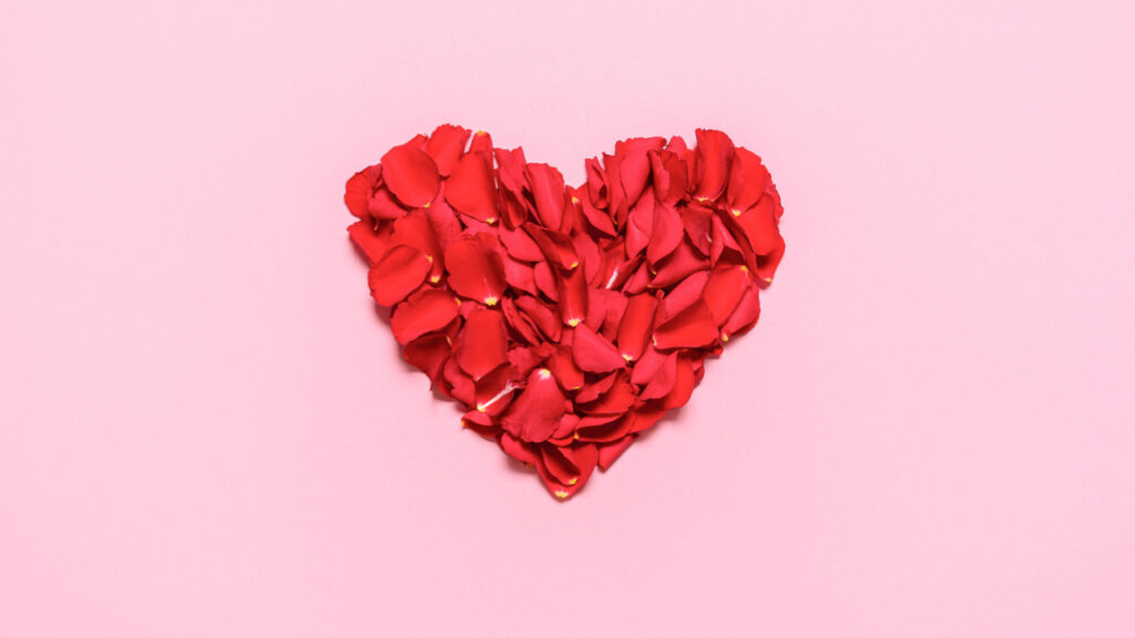 pétalas de rosas vermelhas formam o desenho de um coração no centro em fundo rosa
