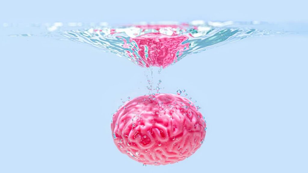 Modelo anatômico de um cérebro humano caindo embaixo d’água com bolhas. Conceito de "limpar" a mente.