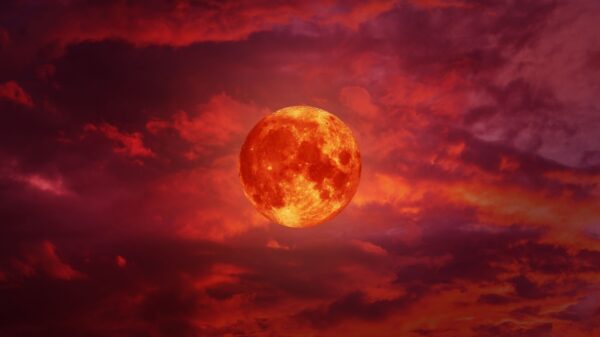 imagem na lua cheia rosa