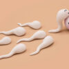 Espermas humanos feitos de argila impregnando um óvulo humano feito de argila.