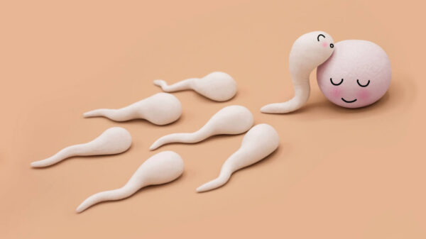 Espermas humanos feitos de argila impregnando um óvulo humano feito de argila.
