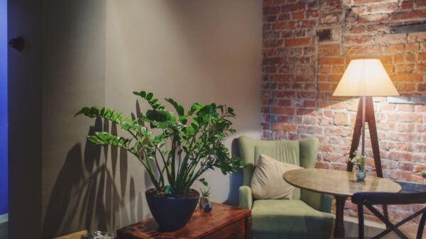 fotografia do canto de uma sala de estar mostrando o abajur a planta e uma poltrona verde