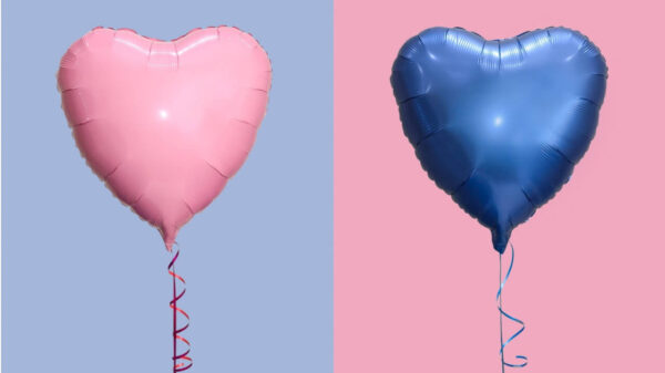 Dois balões, um rosa e um azul, em forma de coração como um símbolo do amor entre um homem e uma mulher.