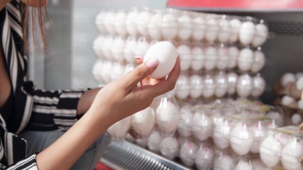 mão feminina segurando um ovo branco com caixas transparentes de ovos ao fundo