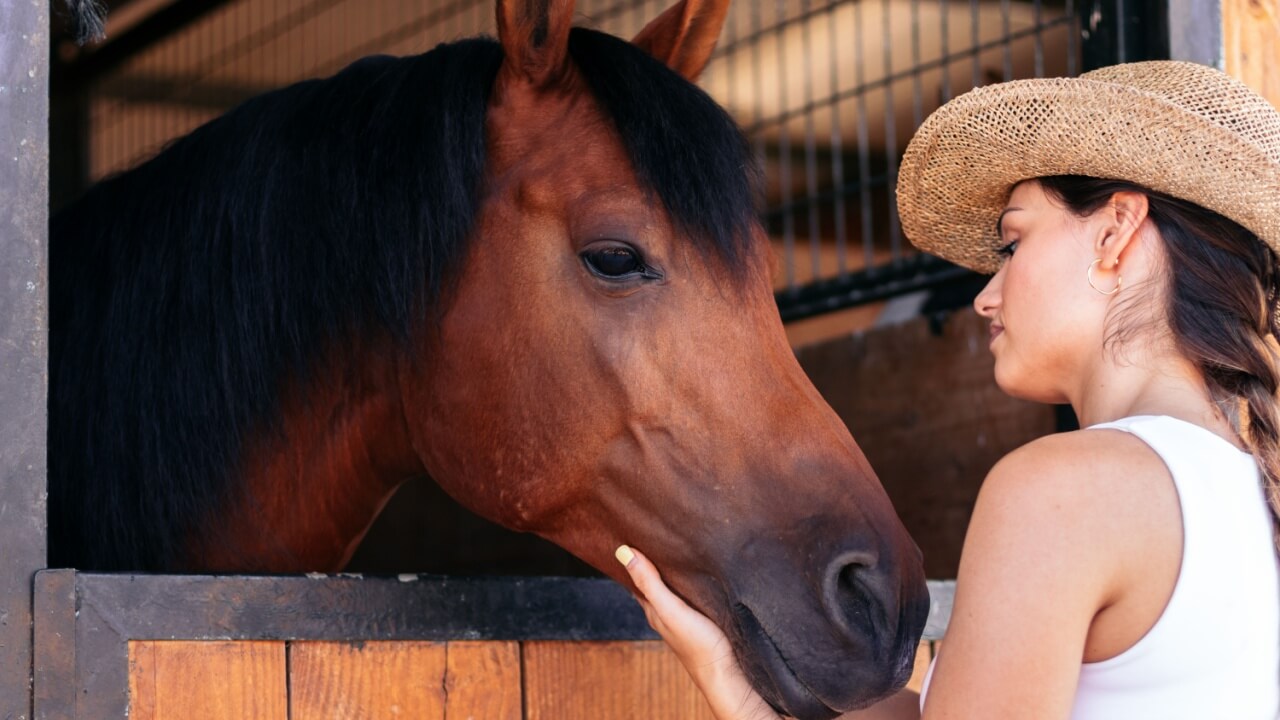 fotografia de uma mulher passando a mão em seu cavalo