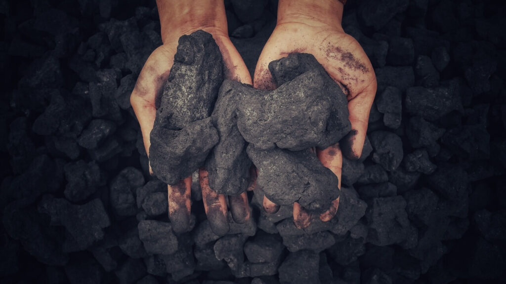 imagem de um par de mãos brancas segurando pedaços de carvão vegetal e o fundo todo coberto por carvão vegetal