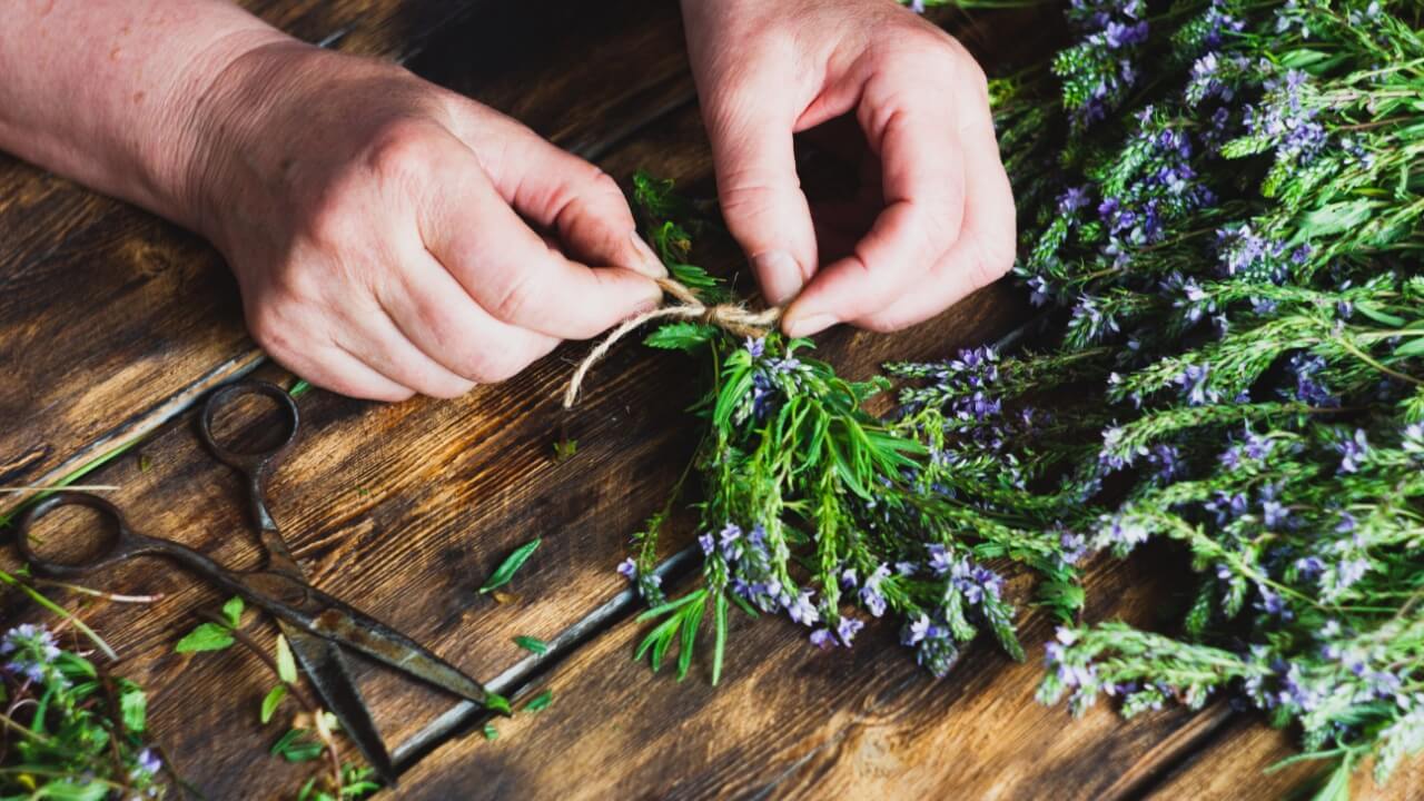 par de mãos amarrando um barbante em ramos de lavanda