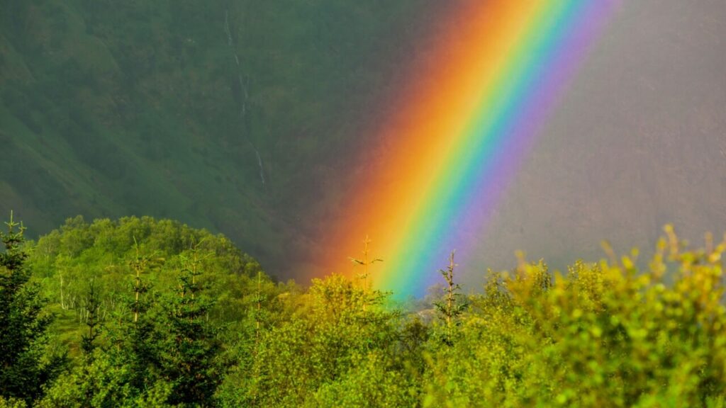 imagem de um arco íris na natureza