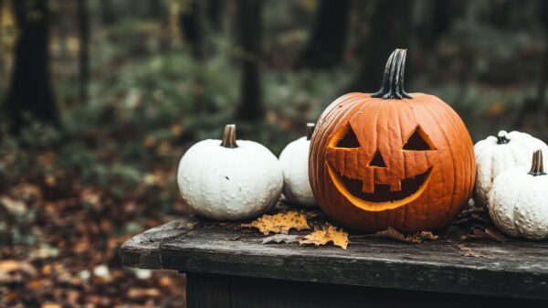 imagem de uma abóbora de halloween em uma floresta