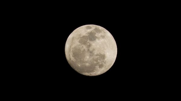 rituais para fazer na lua cheia