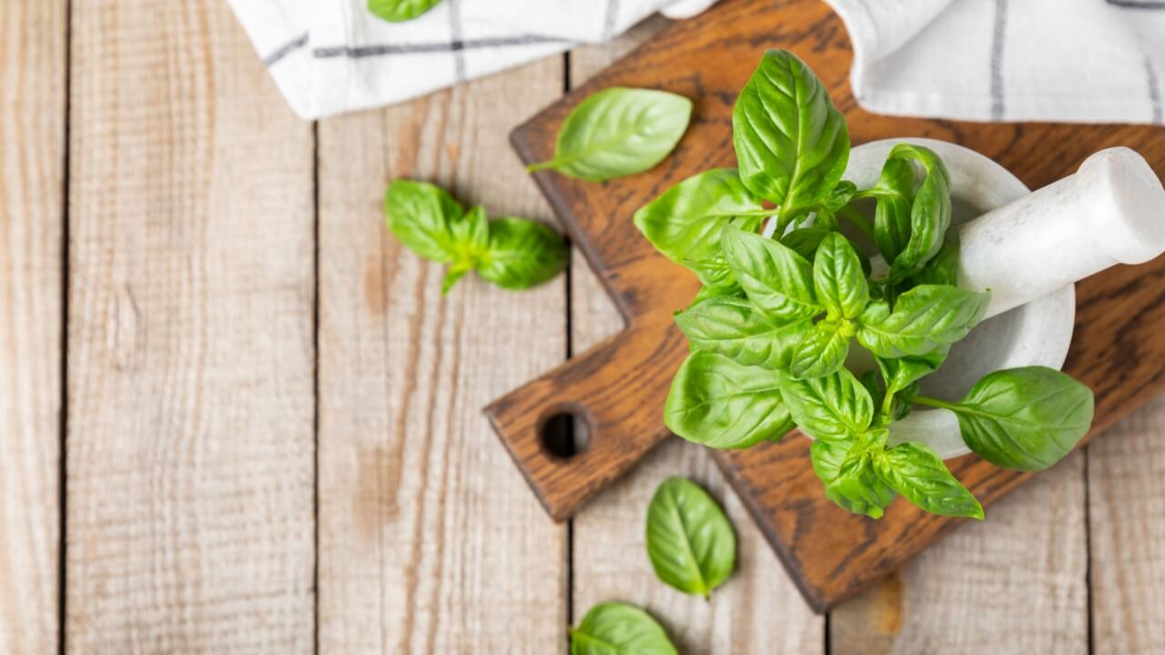 fotografia de uma tábua de madeira com uma cumbuca branca com manjericão em uma mesa de madeira